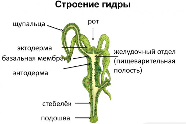 Кракен сайт 1kraken me официальный