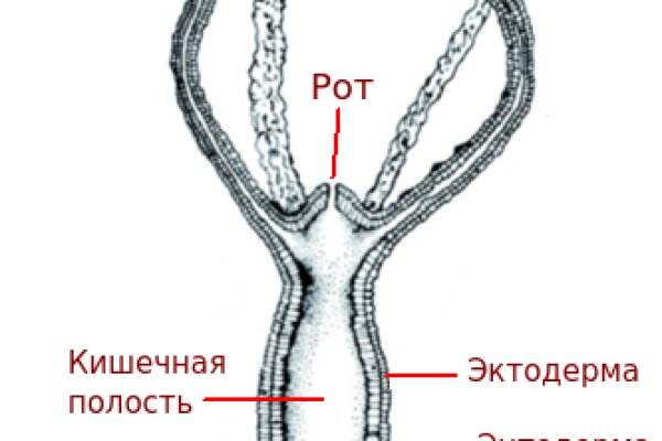 Кракен актуальное зеркало