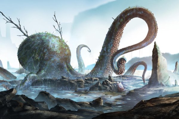Kraken onion link