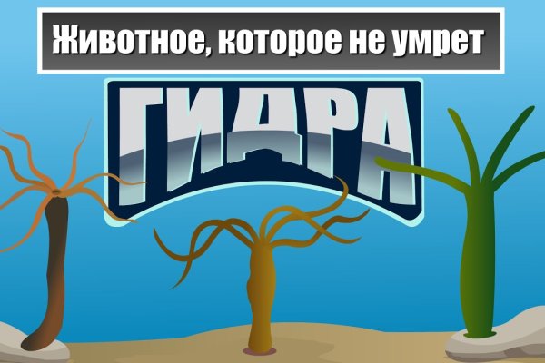 Кракен ссылка тор kraken014 com